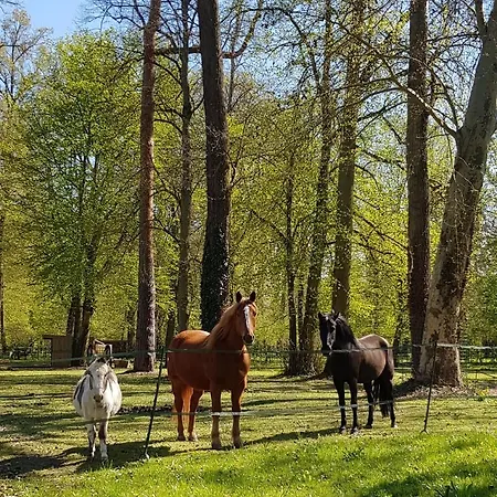 Bed & Breakfast Les Sabots Du Parc